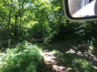 IMG_4390.jpg