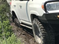 Stuck In Mud.jpg
