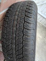 IMG_20180822_071817.jpg