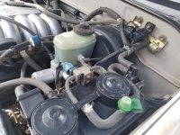 20180428_154013.jpg