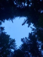 IMG_20180729_162856.jpg