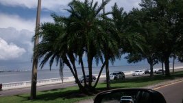 IMG_20180518_152033238.jpg