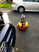 20180816_082823.jpg