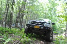 DSC_0333.jpg