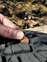 2018-03-15 16.32.22_Tire 3_30per.jpg