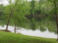 IMG_0356.jpg