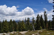 DSC_0769 e.jpg
