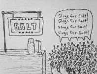 Slug+for+salt_b3613c_6167777.jpg