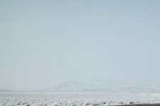 wad03.jpg