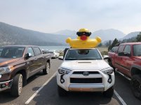 Derby-Duck_2564.jpg