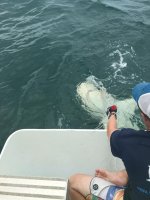 IMG_0217.jpg