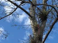 IMG_9412.jpg