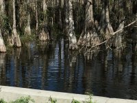 IMG_9463.jpg