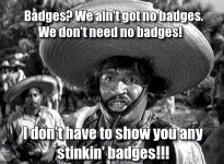 We-aint-got-no-badges-1.jpg