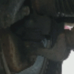 Untitled.gif