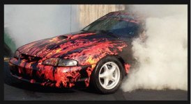 Stang 1.JPG