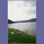 Newfoundland.jpg