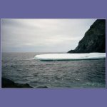 iceberg.jpg