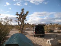 IMG_0002smallr.jpg