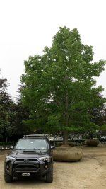 IMG_2993.jpg