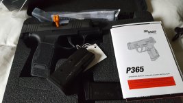 P365.jpg