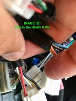 IMG-E.jpg