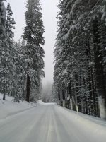 29261205_2103656809646172_4737632021667381248_n.jpg