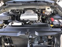 IMG_0260[2].jpg