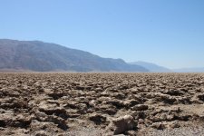 IMG_0124.jpg