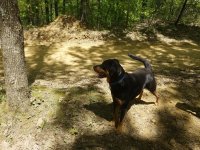 20180501_121539.jpg 20180501_121539.jpg