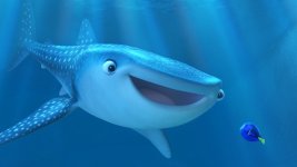 whale shark finding dory.jpeg