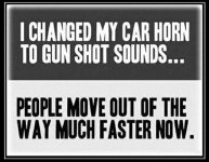horn gun.jpg