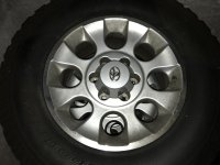 IMG_6906.jpg