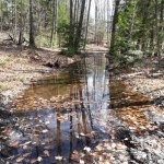 20180505_153922.jpg