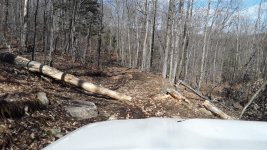 20180505_155205.jpg