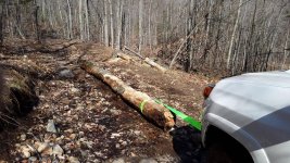 20180505_160208.jpg