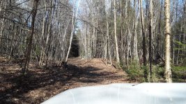 20180505_162426.jpg