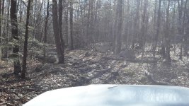 20180505_165218.jpg