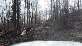 20180505_170033.jpg