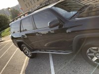 IMG_0298[1].jpg