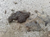 20180506_145038.jpg