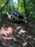 IMG_4372.JPG IMG_4372.JPG