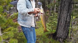 20180526_080442.jpg 20180526_080442.jpg