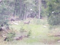 20180526_135157.jpg 20180526_135157.jpg