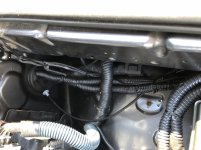F458CE68-2F8D-41C7-B7F2-959148B92F81.jpg
