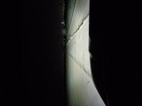 20180713_225912.jpg