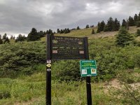 IMG_20180707_164810.jpg
