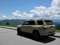 IMG_7202.jpg
