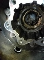 20180323_171903-1512x2016.jpg