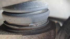 20180809_153053.jpg